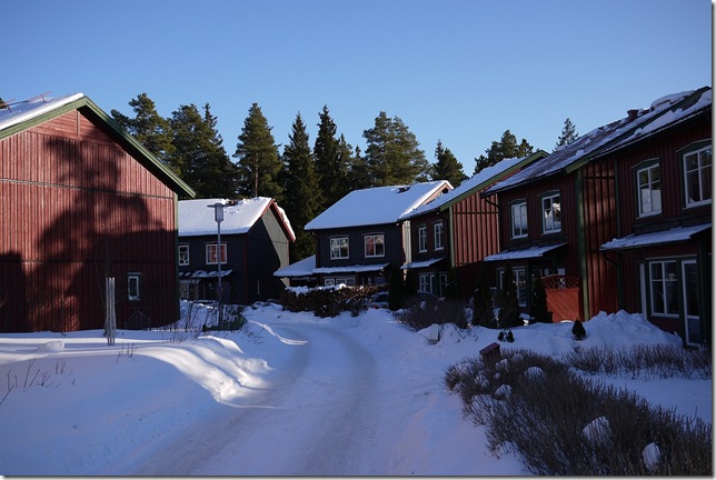 skogsbyn