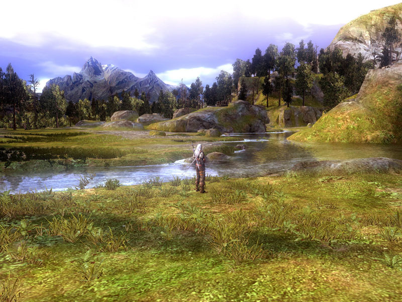 Witcher New