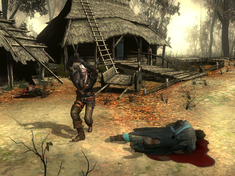 Witcher Shadow
