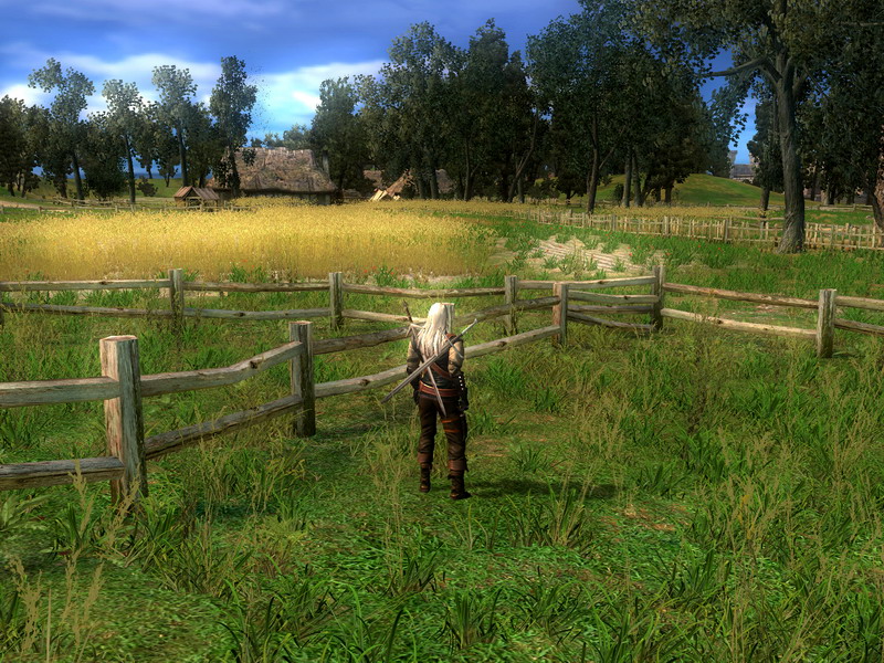 Witcher Speed Tree
